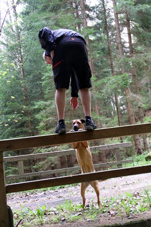 "Ich will auch! Ich will auch!"